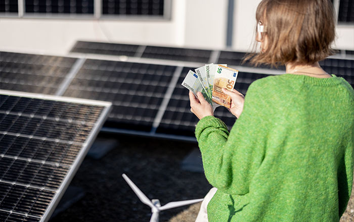 Delaware-Specific Solar Benefits